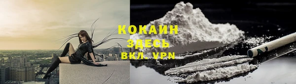 ПСИЛОЦИБИНОВЫЕ ГРИБЫ Аркадак