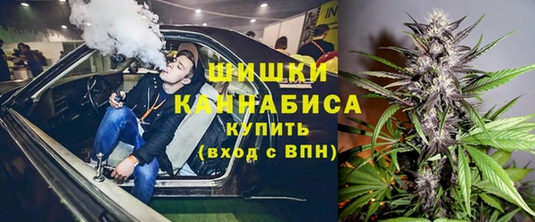 ПСИЛОЦИБИНОВЫЕ ГРИБЫ Аркадак