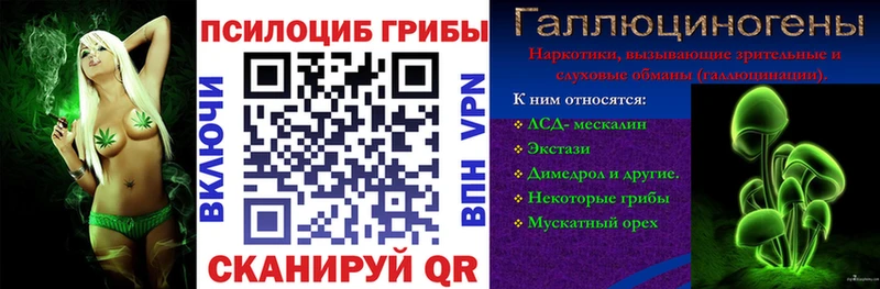 что такое наркотик дарк нет формула Псилоцибиновые грибы GOLDEN TEACHER Удачный